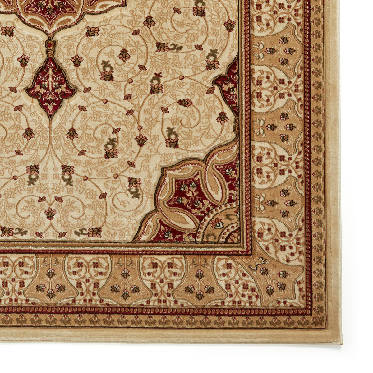 Holden Oriental Stain Resistant Rug