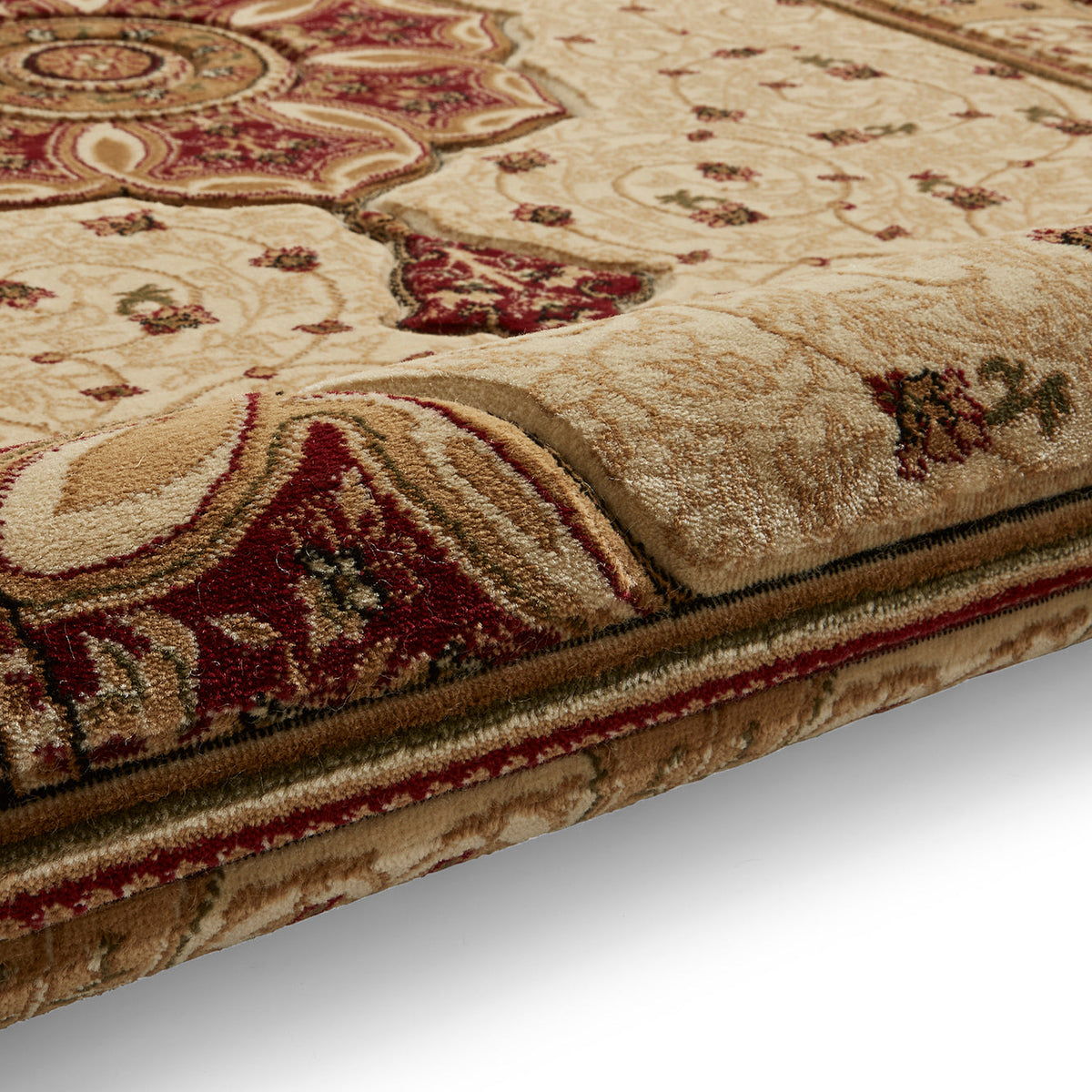 Holden Oriental Stain Resistant Rug