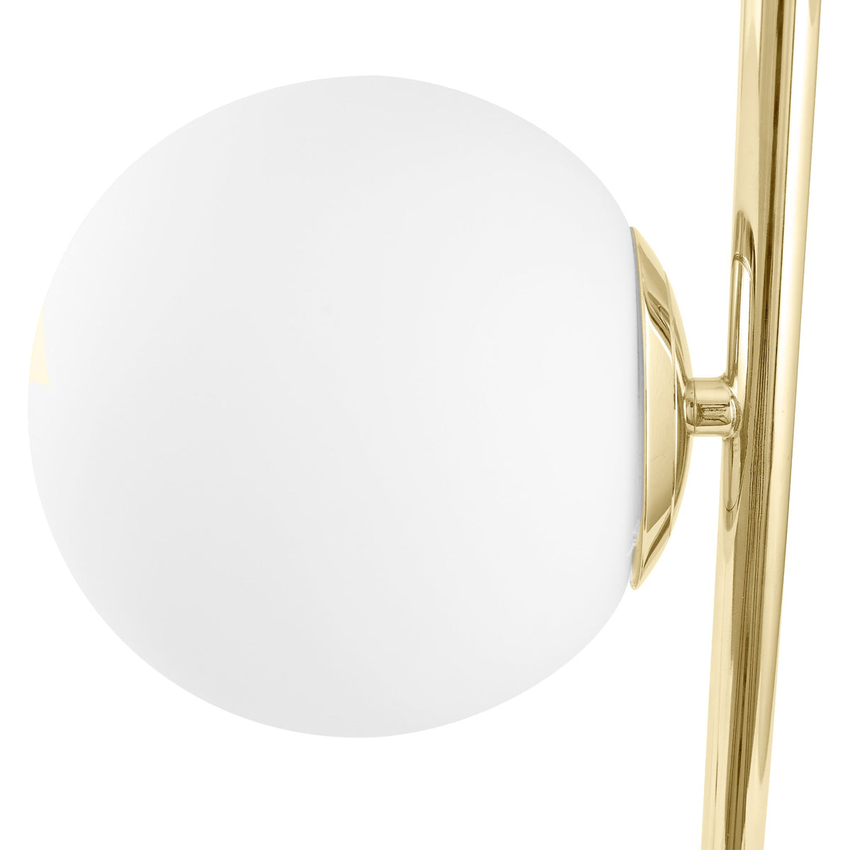 Asterope Metal Table Lamp