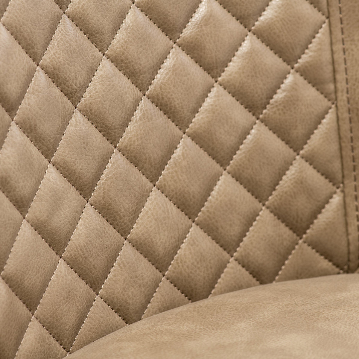 Thora Faux Leather Dining Chair