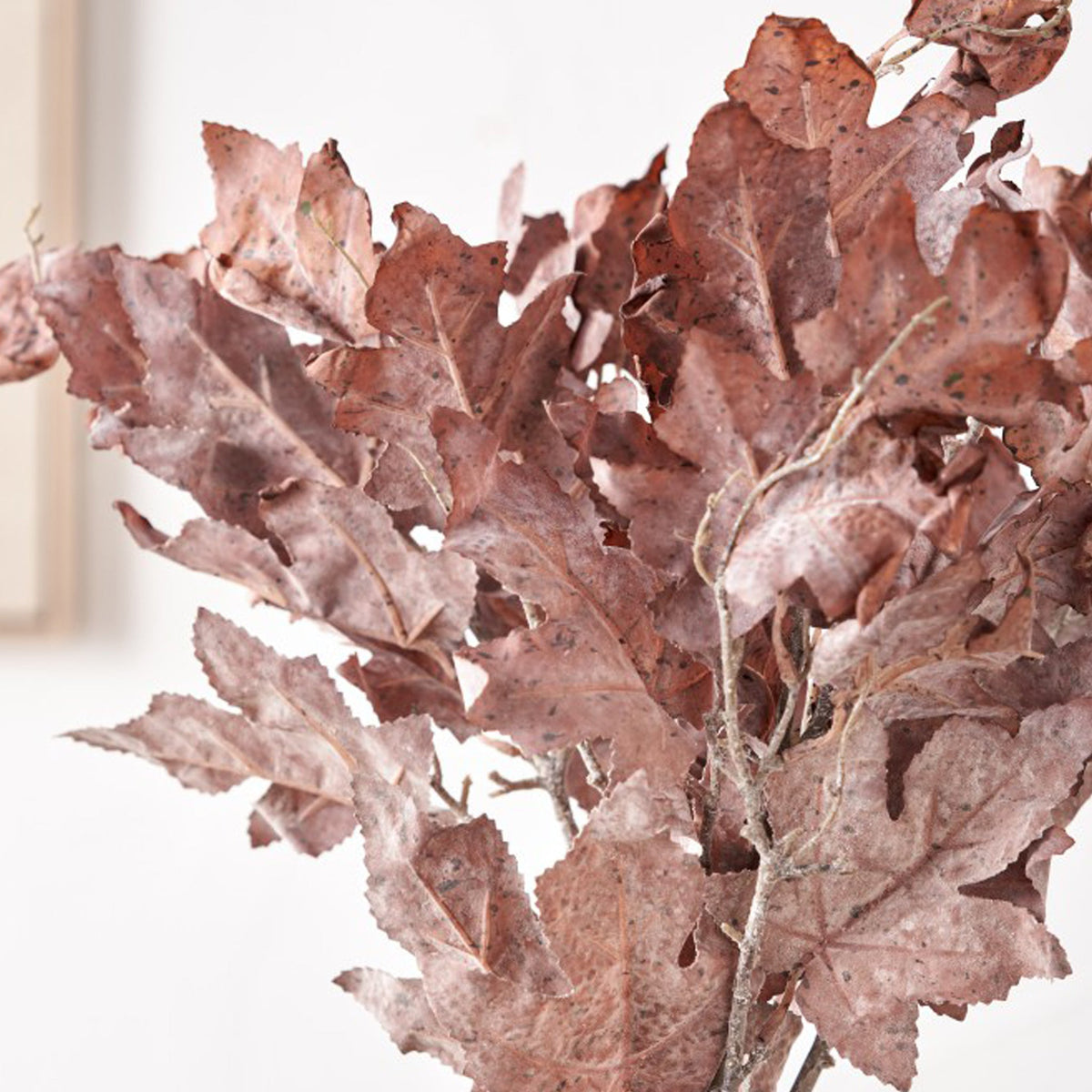 Mulberry Brown Dried Flower Bunch