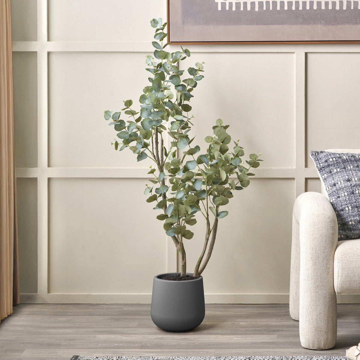 Eucalyptus Tree in Pot