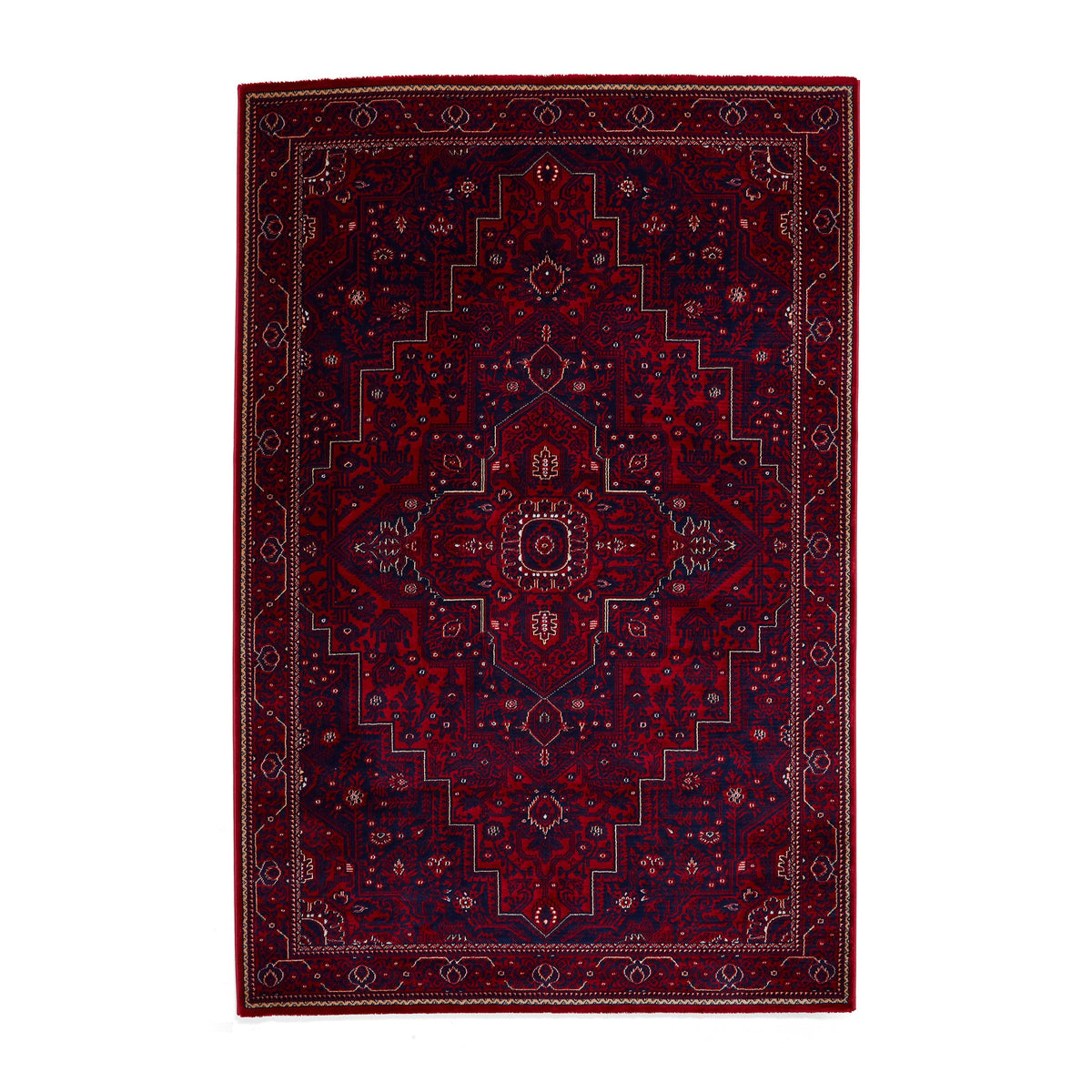 Lansing Traditional Patterned Rug