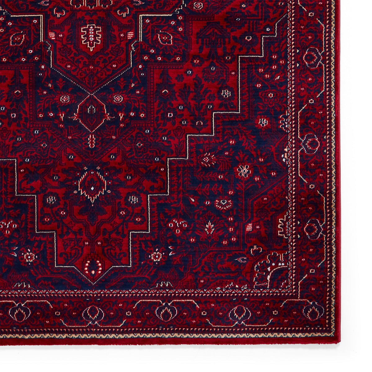 Lansing Traditional Patterned Rug