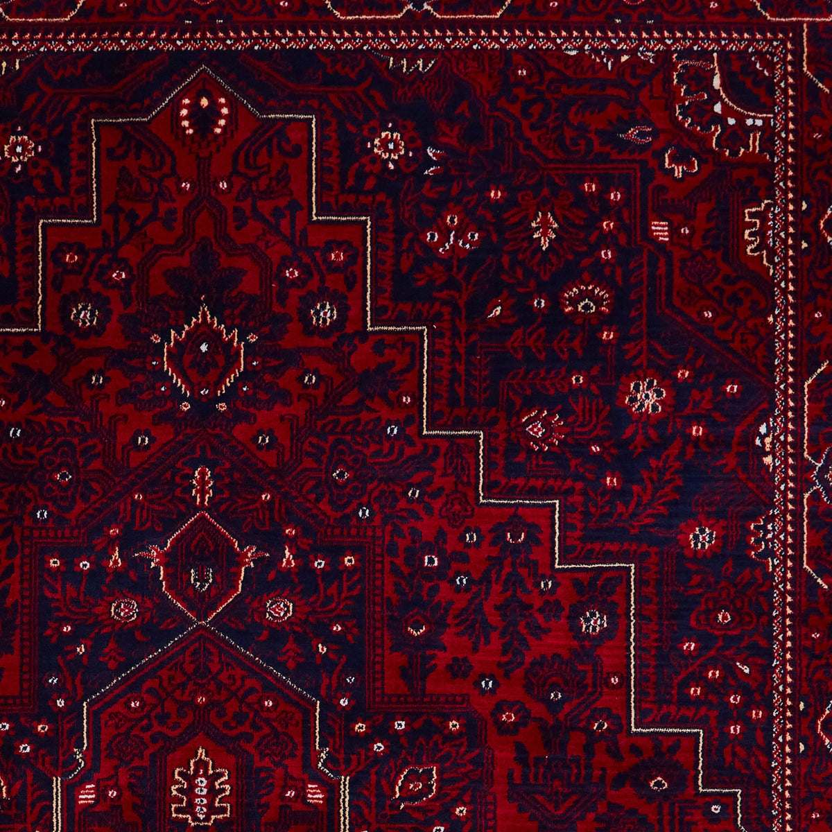 Lansing Traditional Patterned Rug