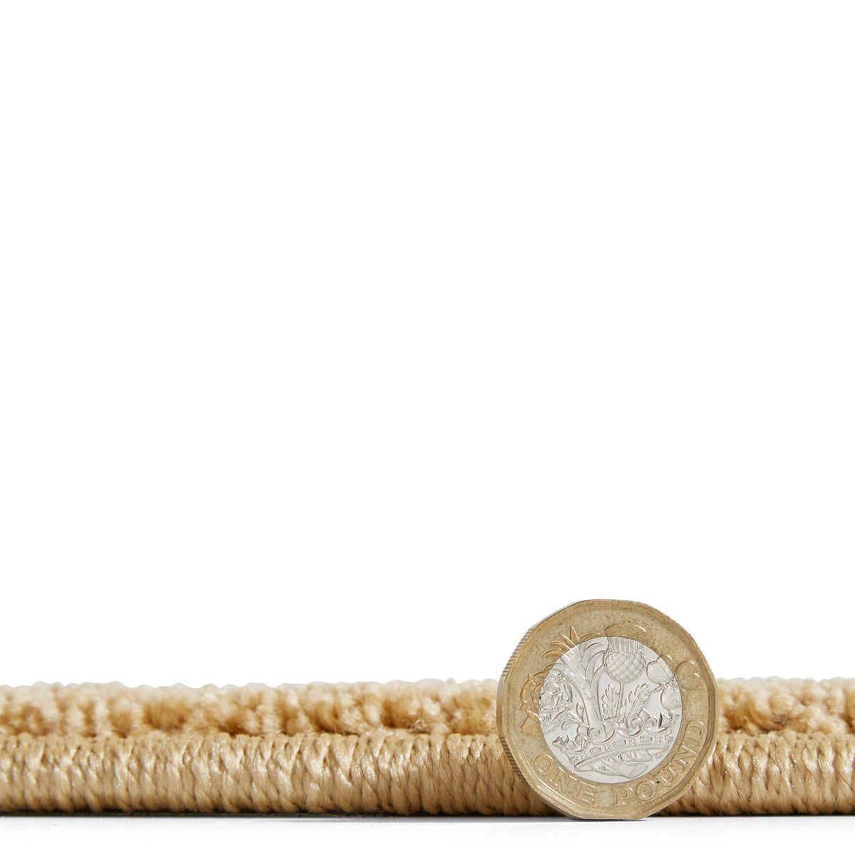 Linear Curve Rug