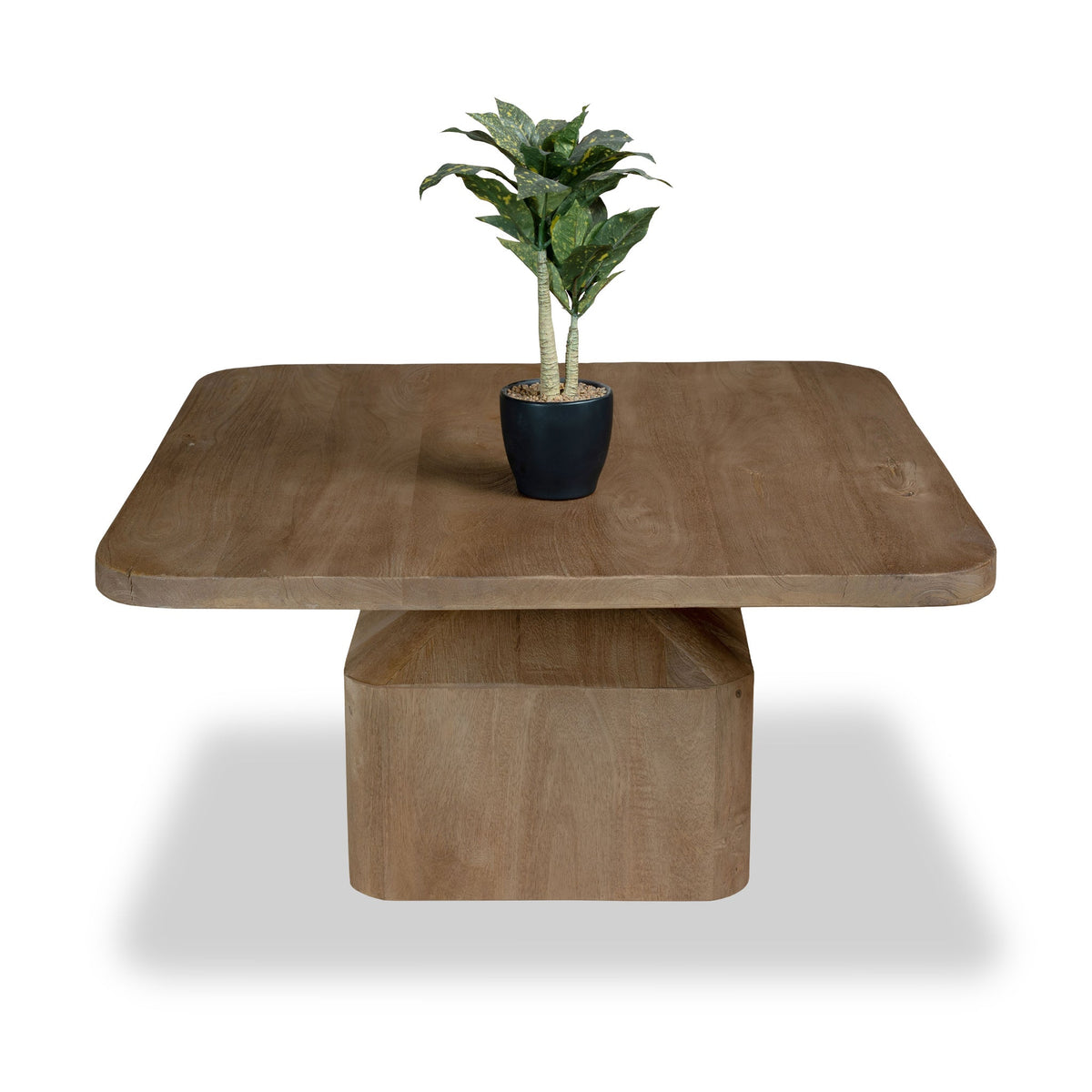 Nao Mango Wood Coffee Table