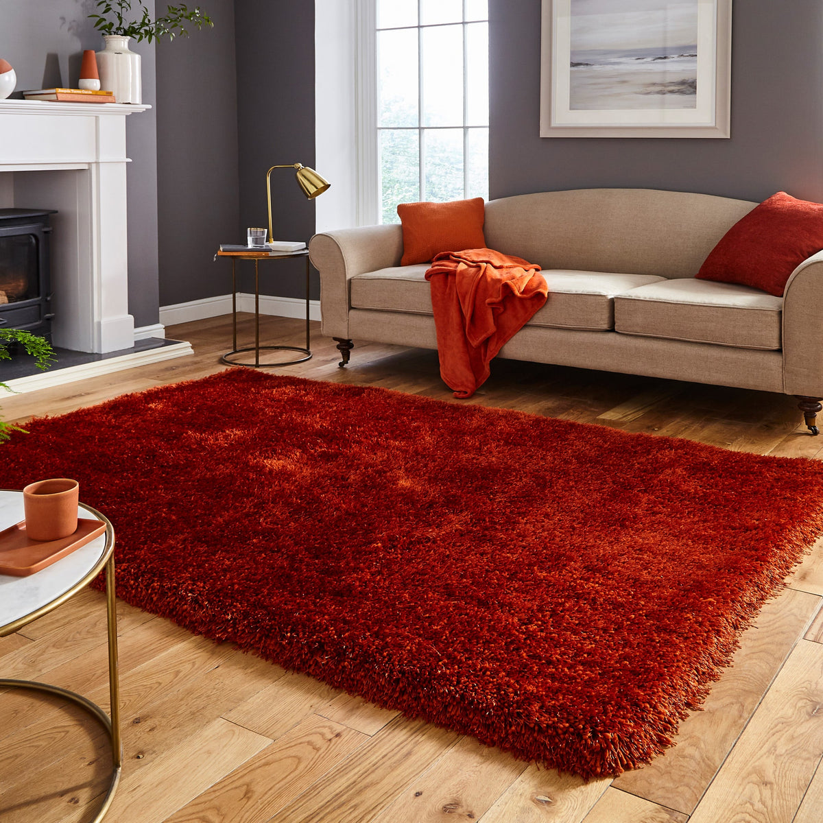 Newton Deluxe Shaggy Rug
