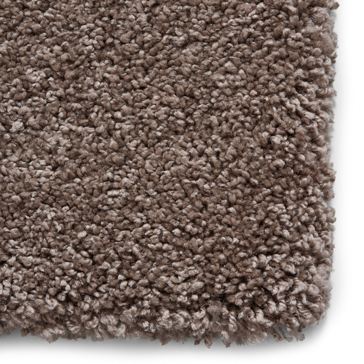 Roswell Stain Resistant Shaggy Rug
