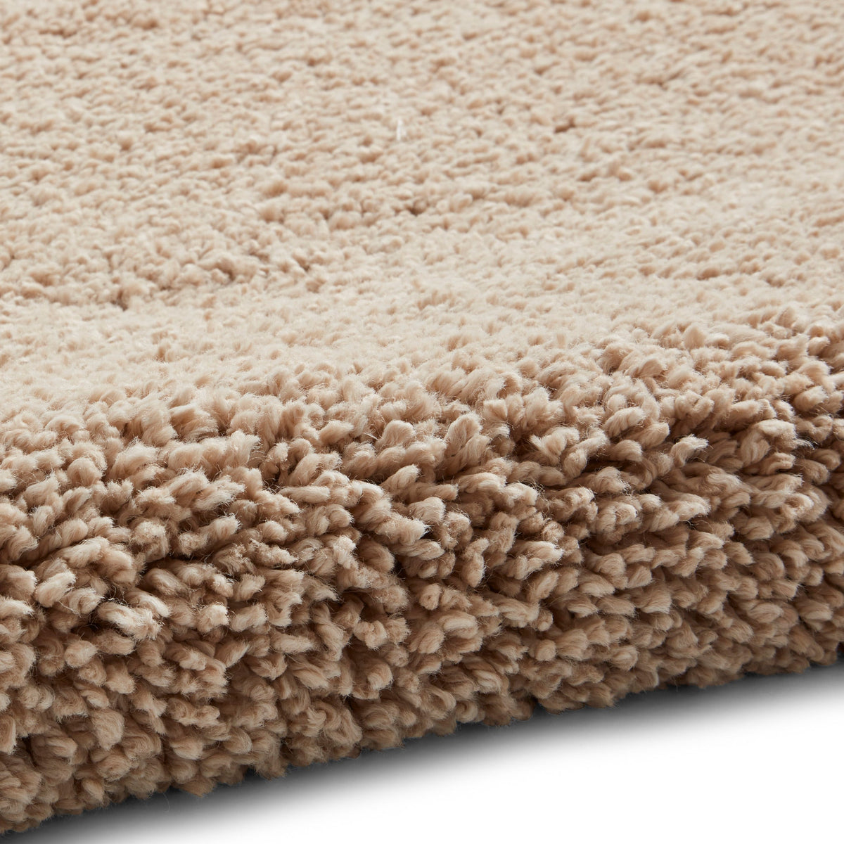 Roswell Stain Resistant Shaggy Rug