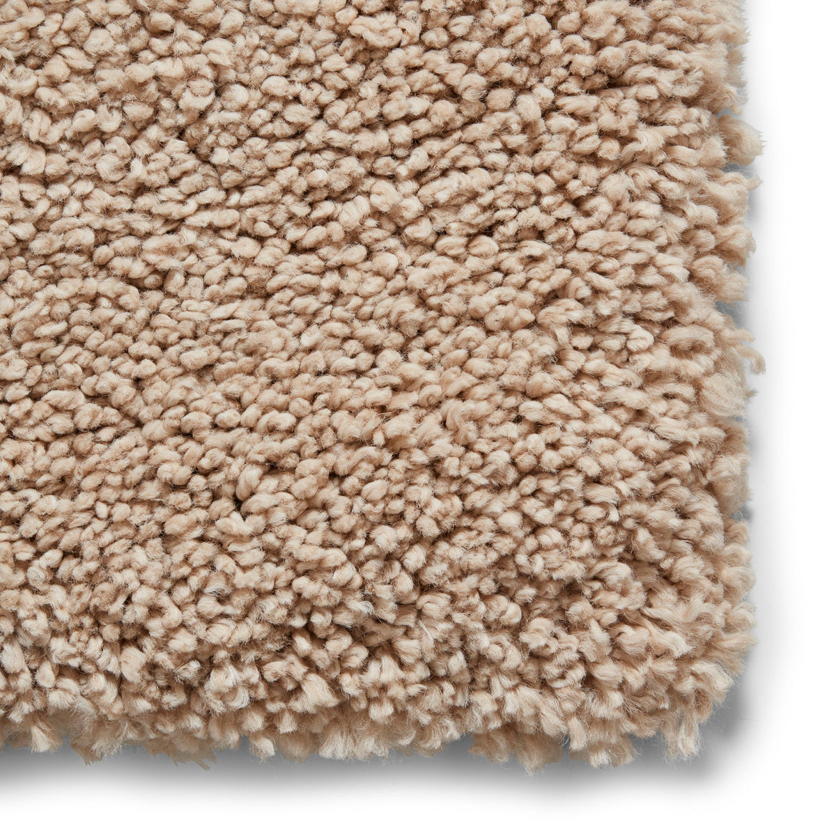 Roswell Stain Resistant Shaggy Rug