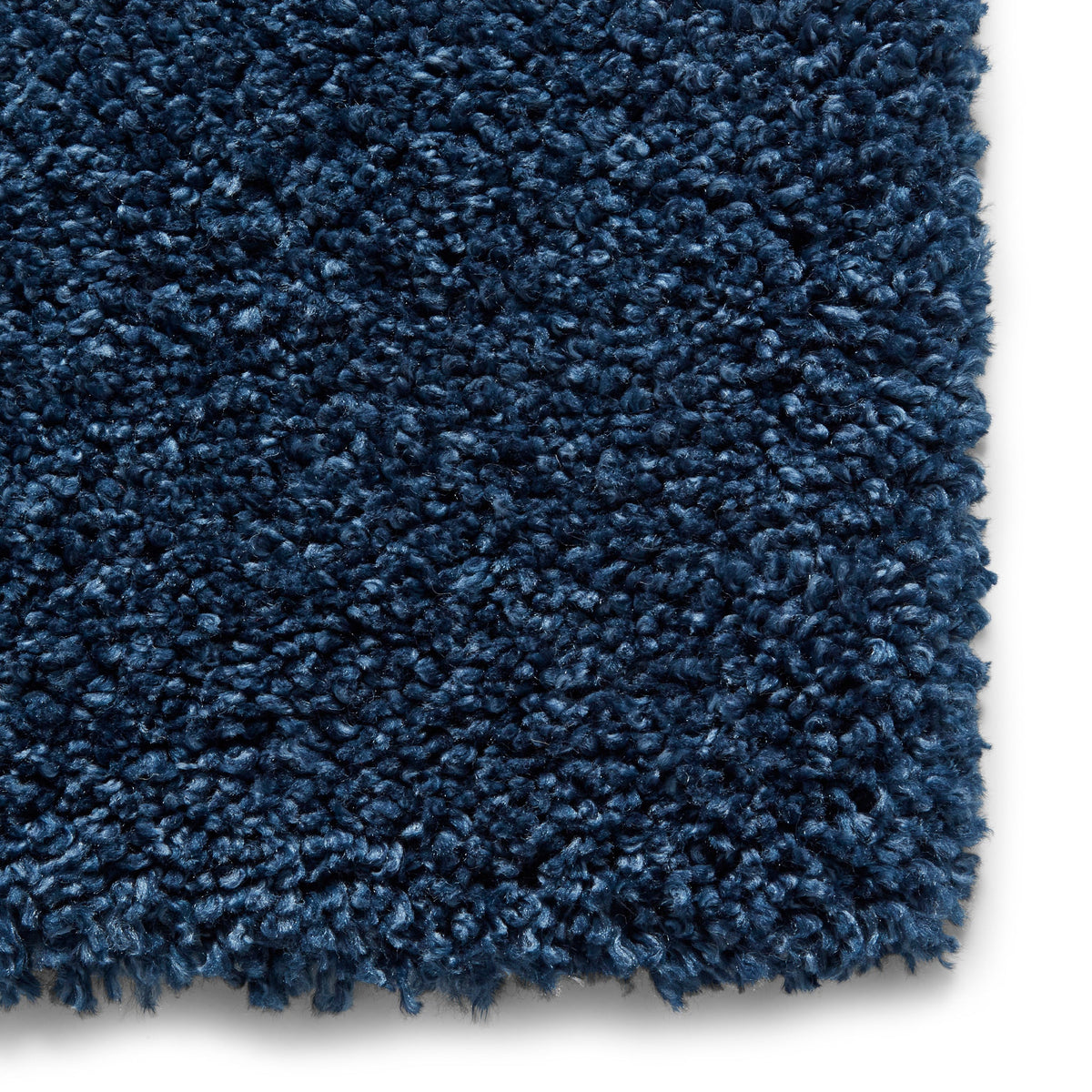 Roswell Stain Resistant Shaggy Rug