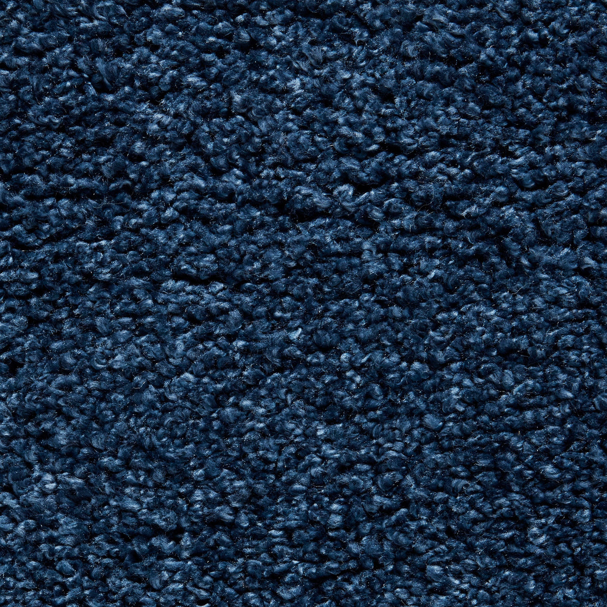 Roswell Stain Resistant Shaggy Rug