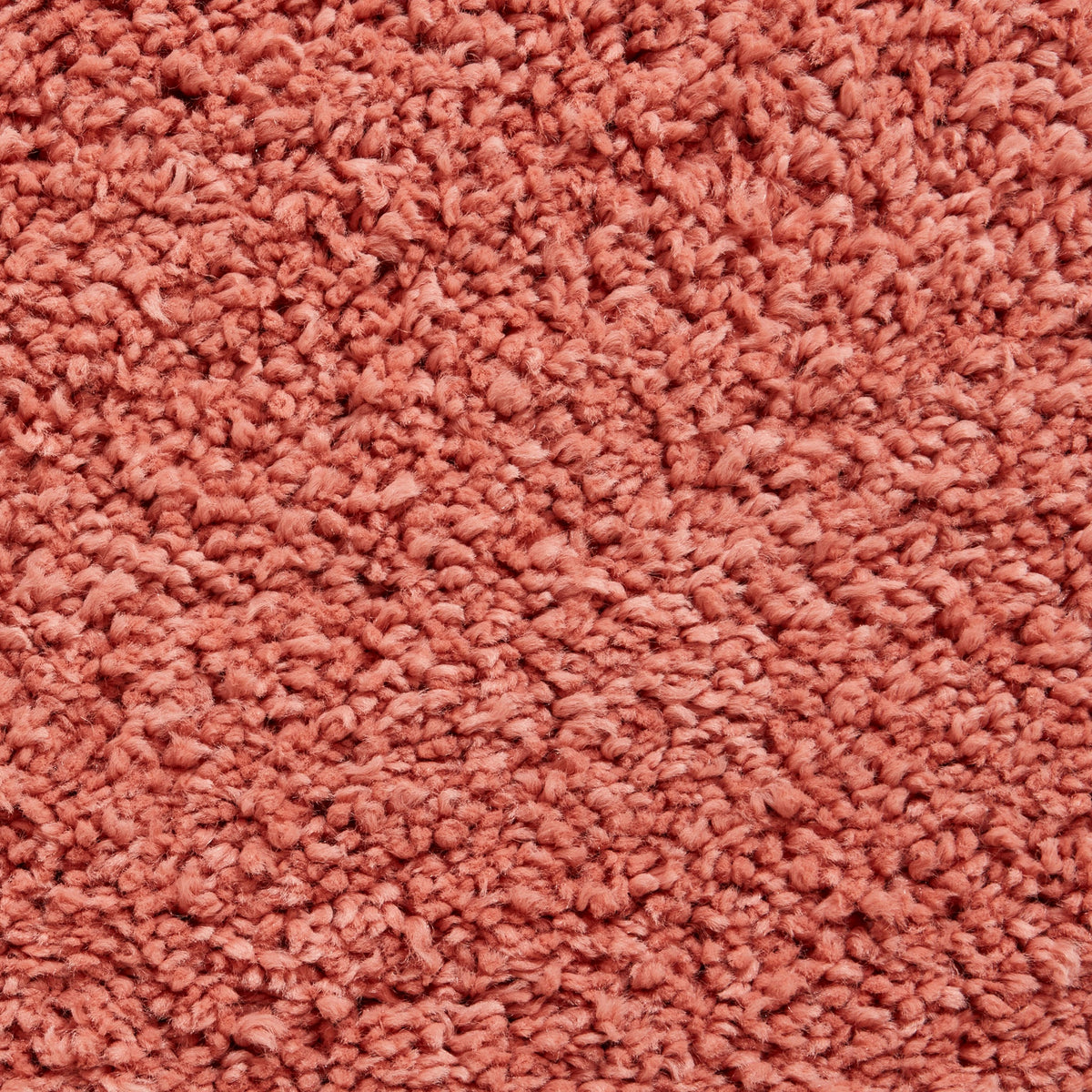 Roswell Stain Resistant Shaggy Rug