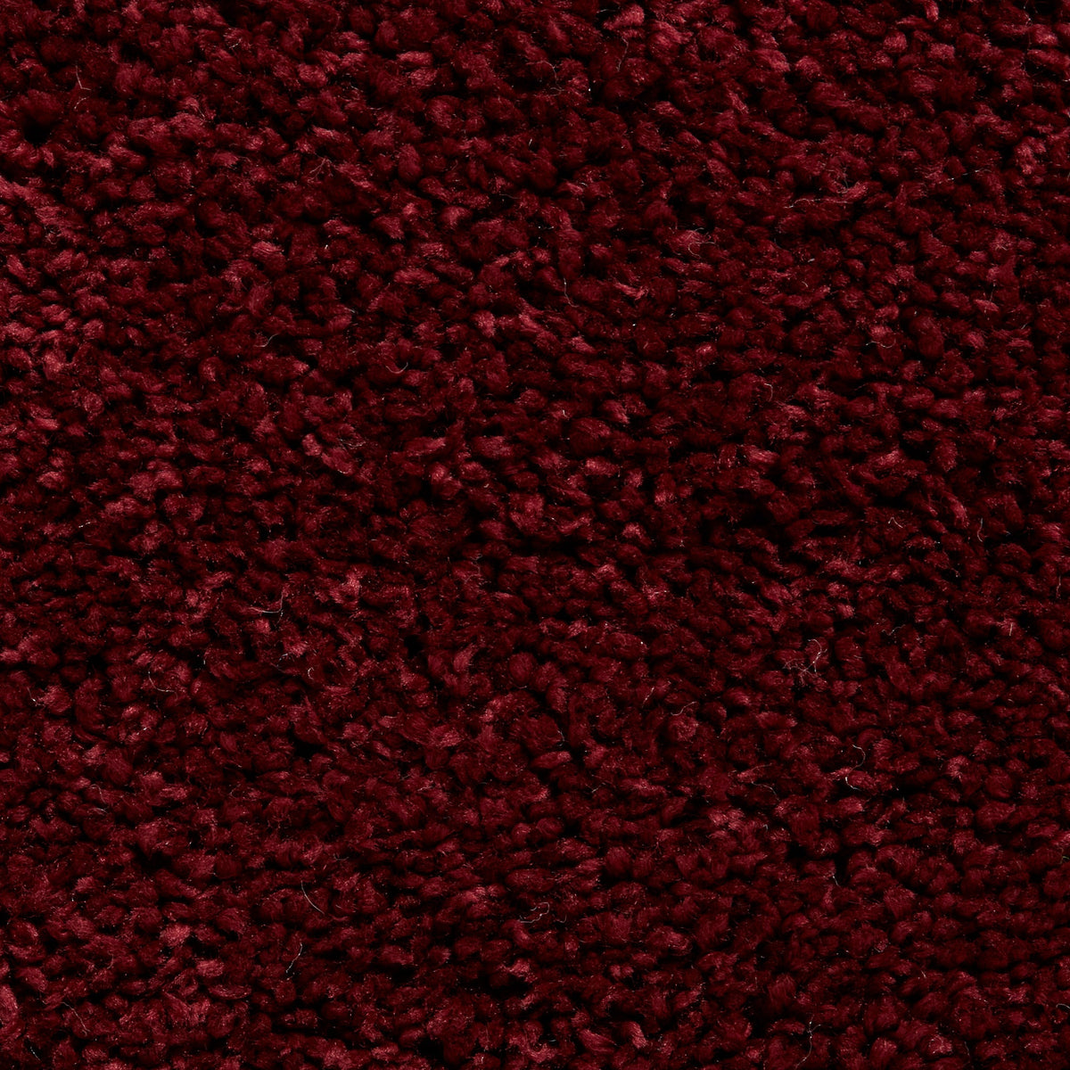 Roswell Stain Resistant Shaggy Rug