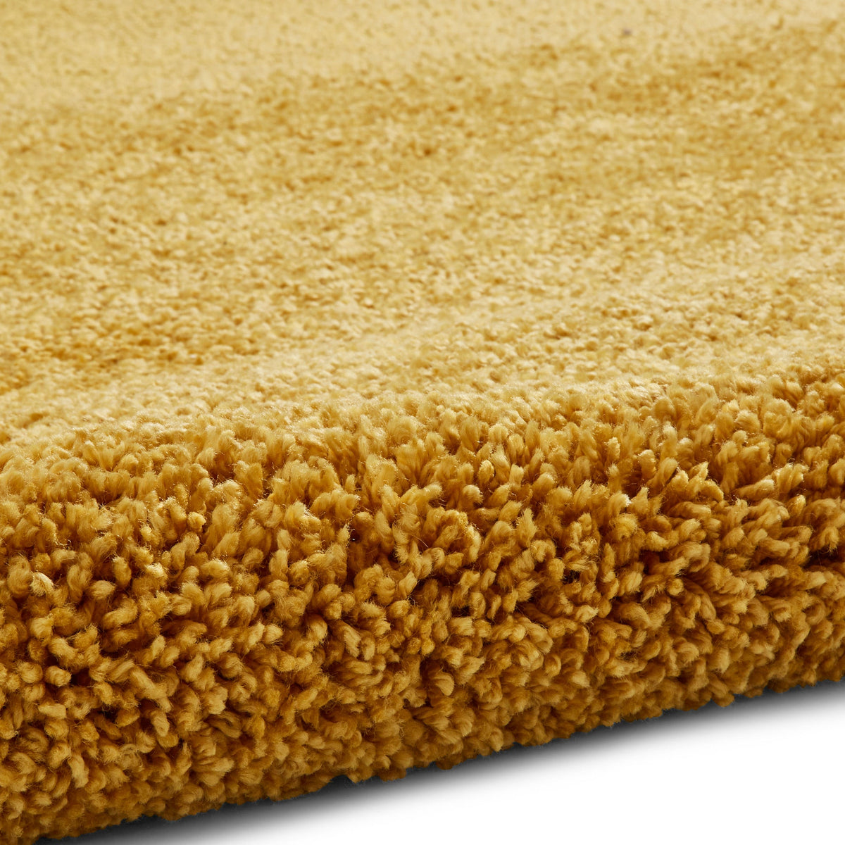 Roswell Stain Resistant Shaggy Rug