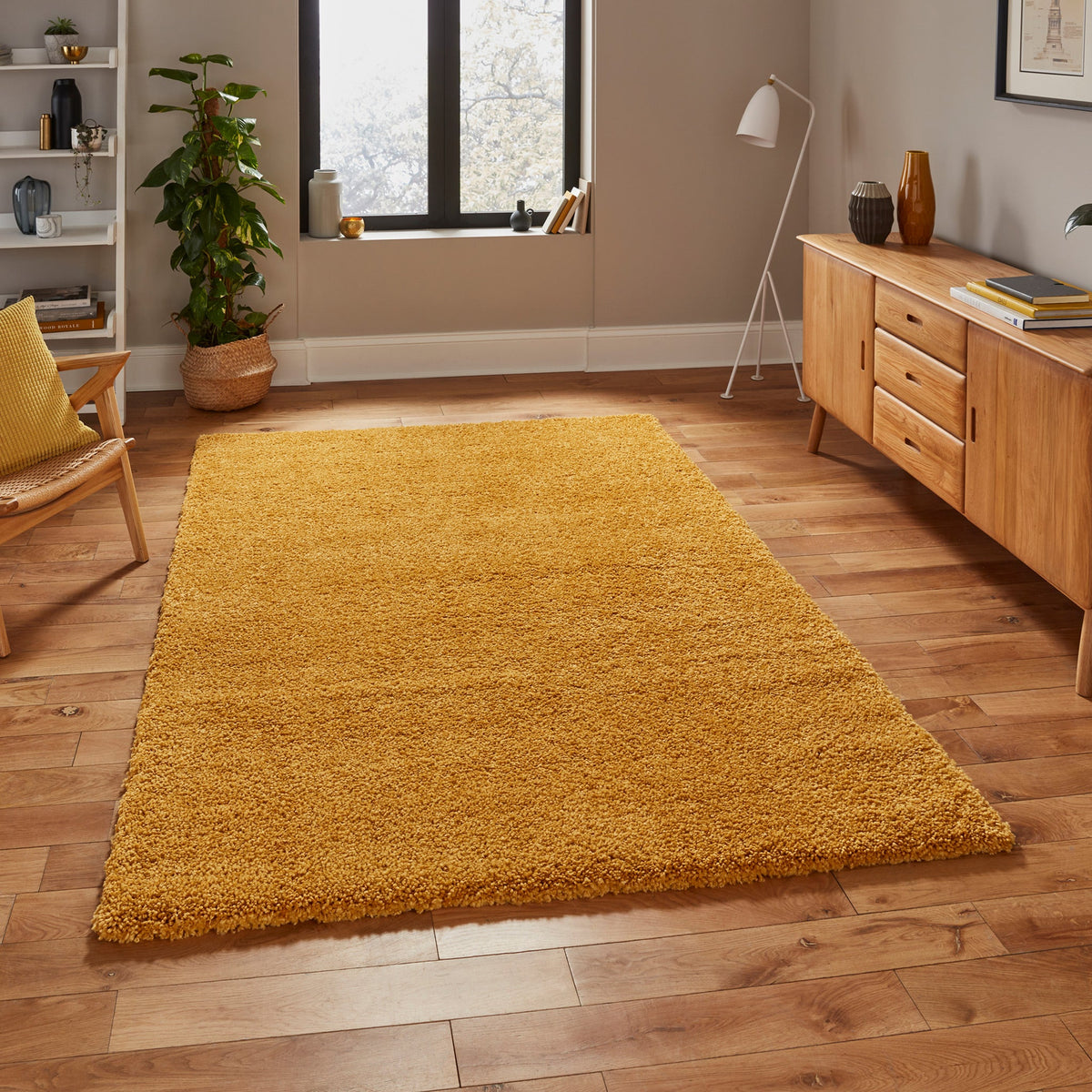 Roswell Stain Resistant Shaggy Rug