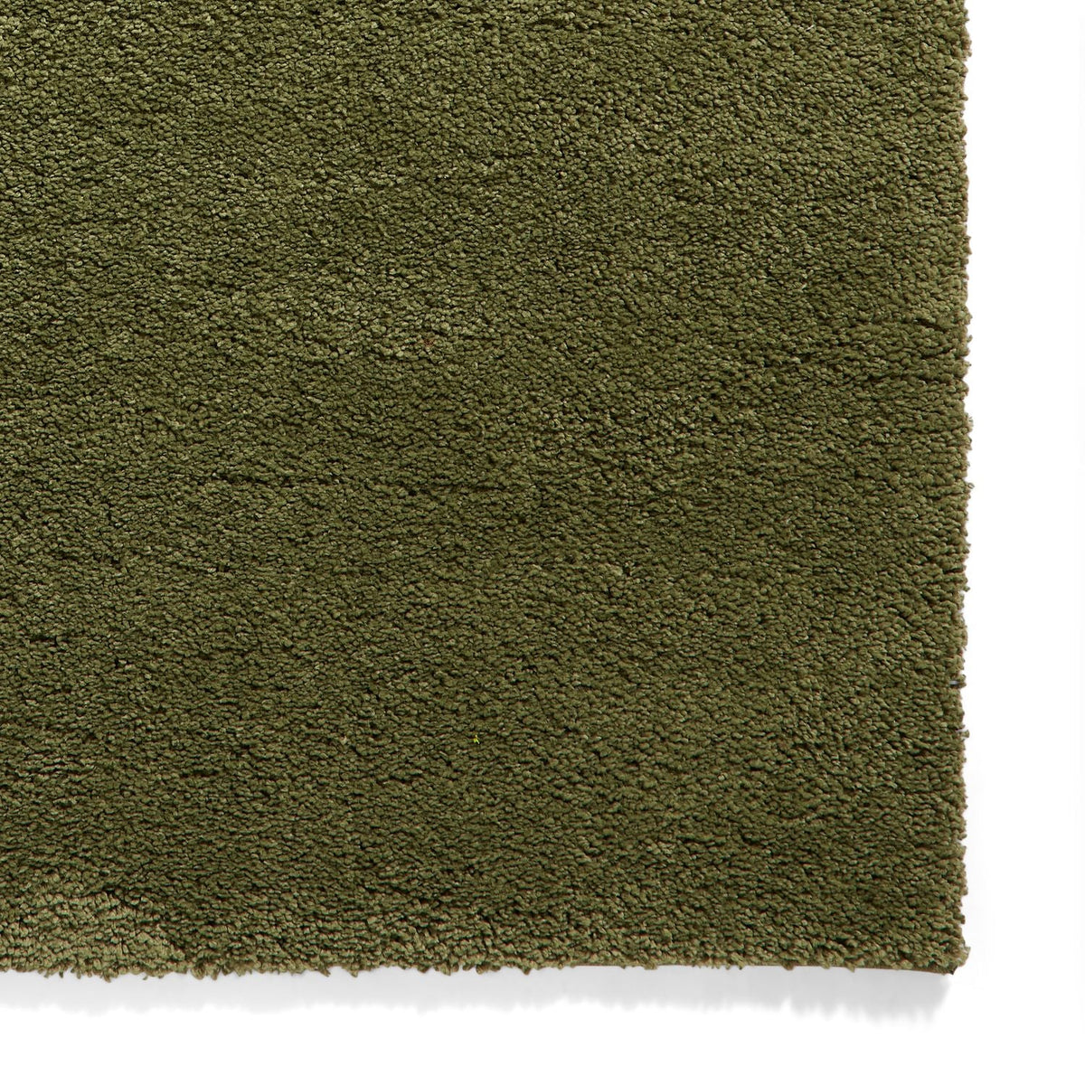 Roswell Stain Resistant Shaggy Rug