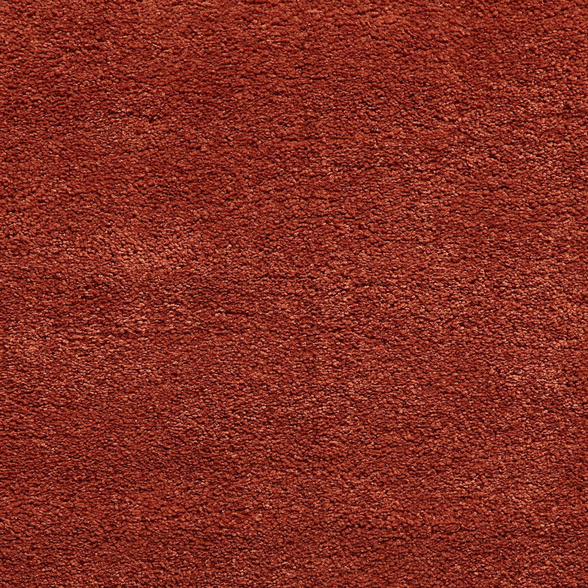 Roswell Stain Resistant Shaggy Rug