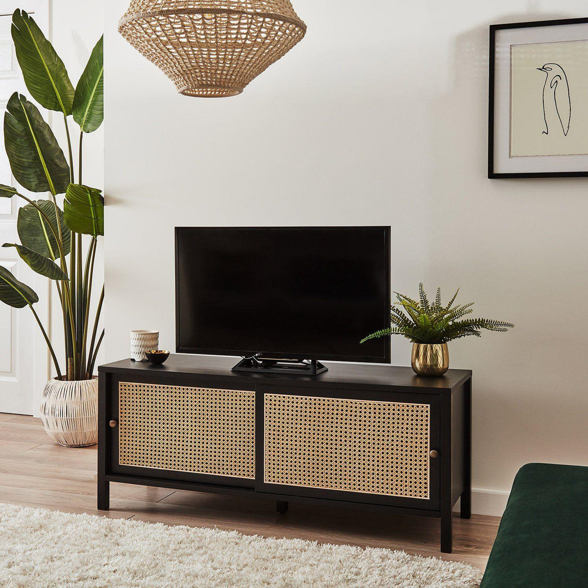 Charlie Cane & Black TV Unit