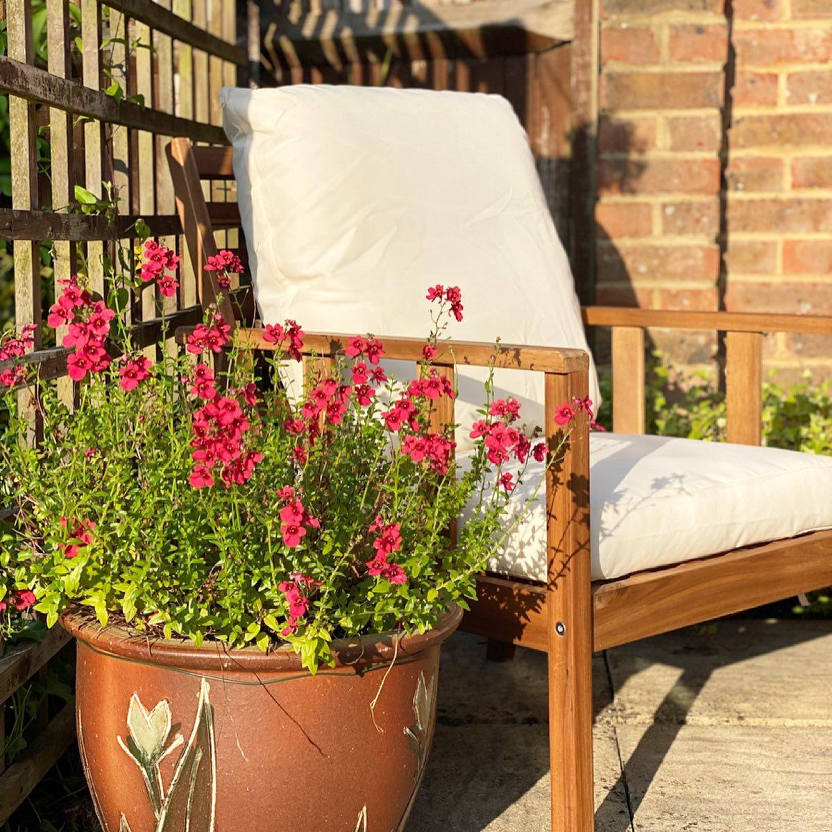 Harrelson Wooden Garden Sofa Set - Sand