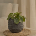 Abala Rustic Grey Cement Plant Pot