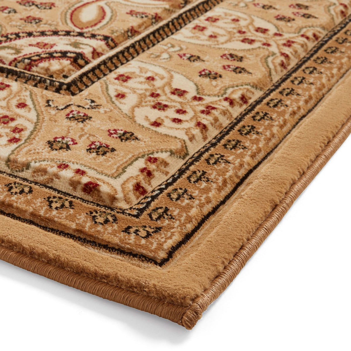Holden Oriental Stain Resistant Rug