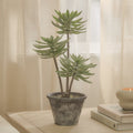Kew 48cm Succulent In Paper Mache Pot