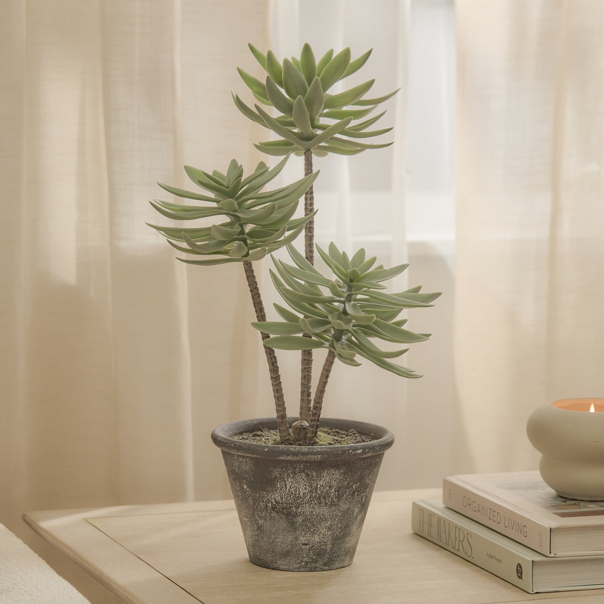 Kew 48cm Succulent In Paper Mache Pot