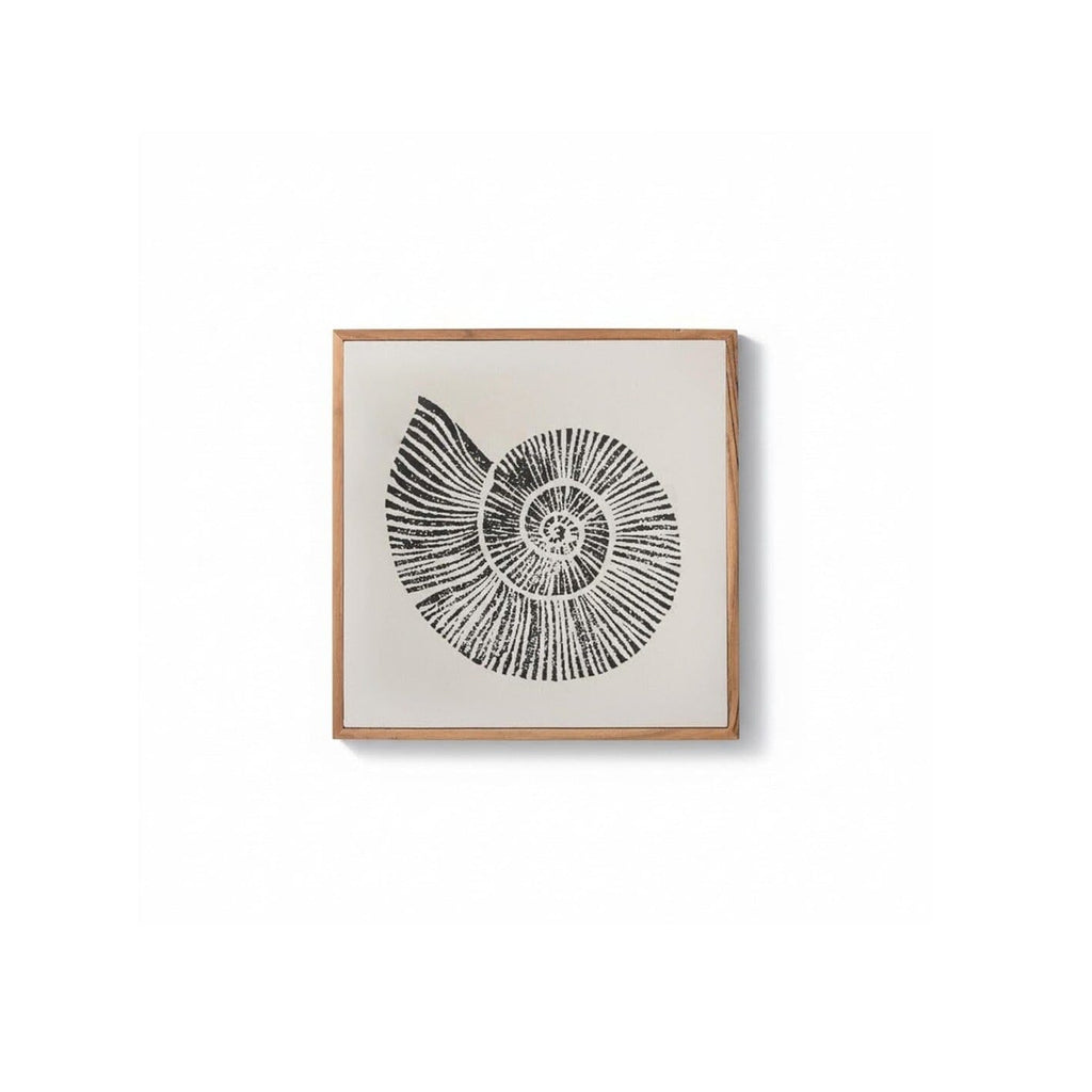 Newlyn 45x45cm Wall Art - Shell II