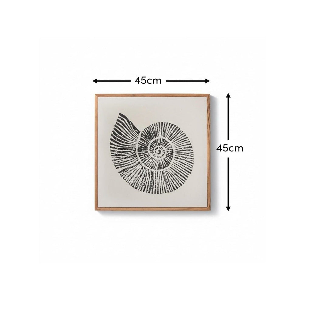 Newlyn 45x45cm Wall Art - Shell II