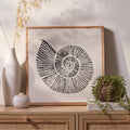 Newlyn 45x45cm Wall Art - Shell II