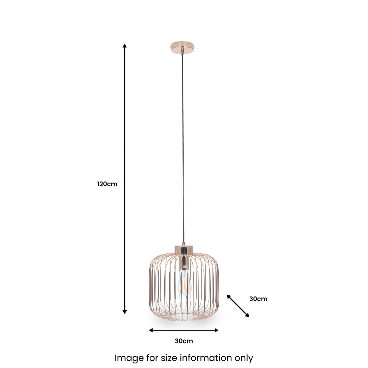 Dania French Gold Metal Wire Pendant