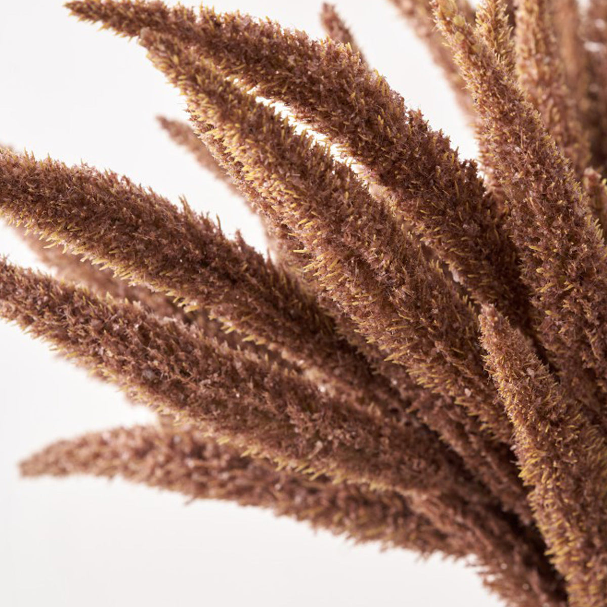 Mulberry Brown Dried Flower Bunch