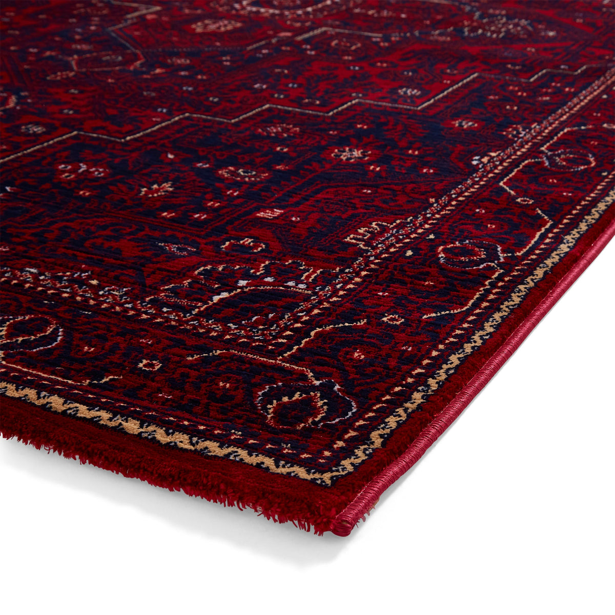 Lansing Traditional Patterned Rug