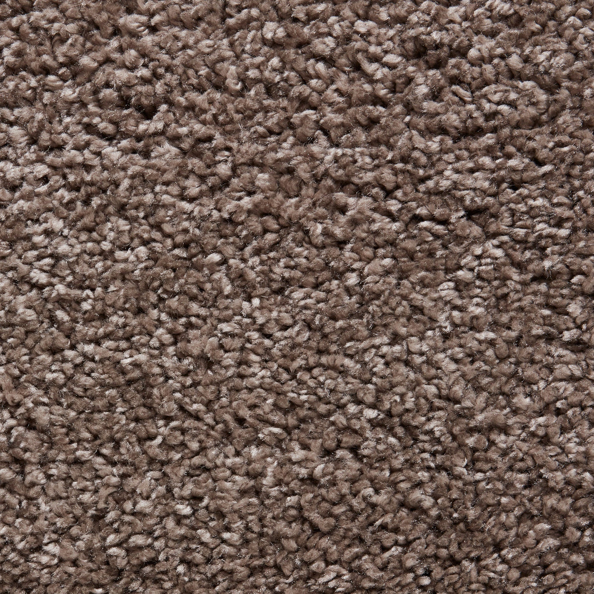 Roswell Stain Resistant Shaggy Rug