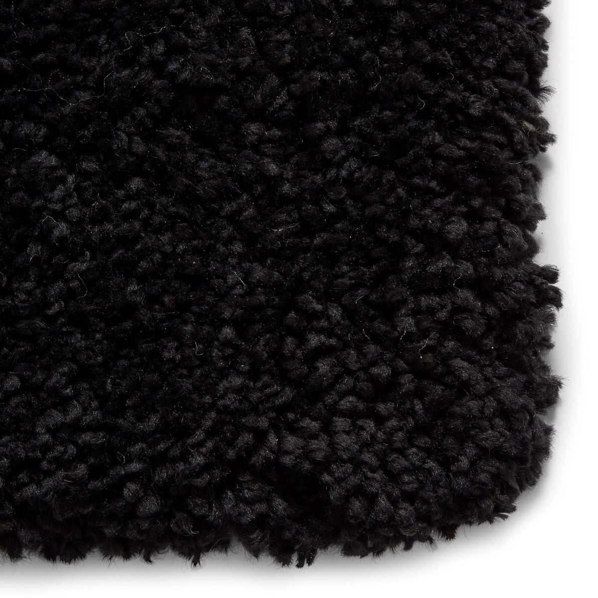 Roswell Stain Resistant Shaggy Rug