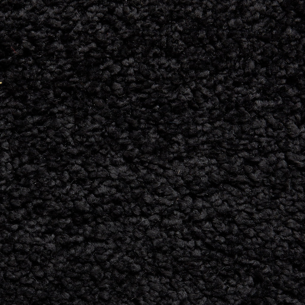 Roswell Stain Resistant Shaggy Rug