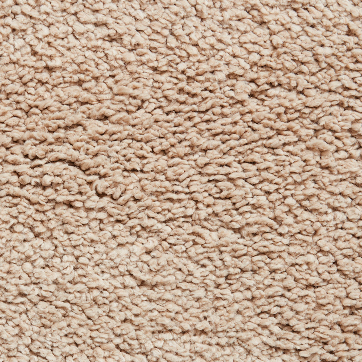 Roswell Stain Resistant Shaggy Rug