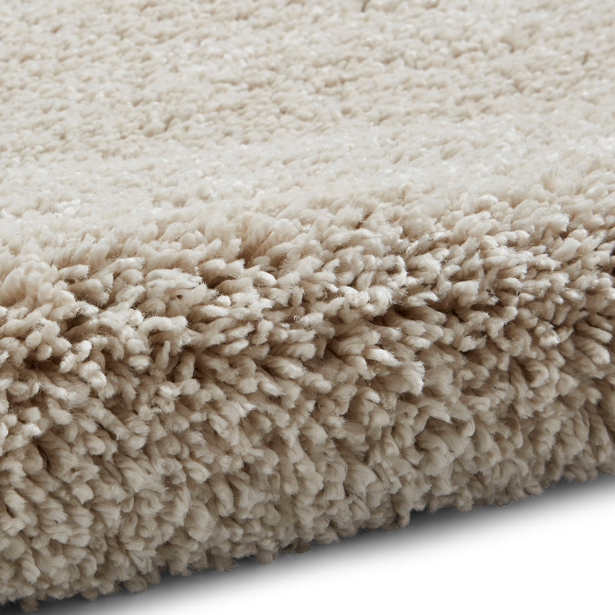 Roswell Stain Resistant Shaggy Rug
