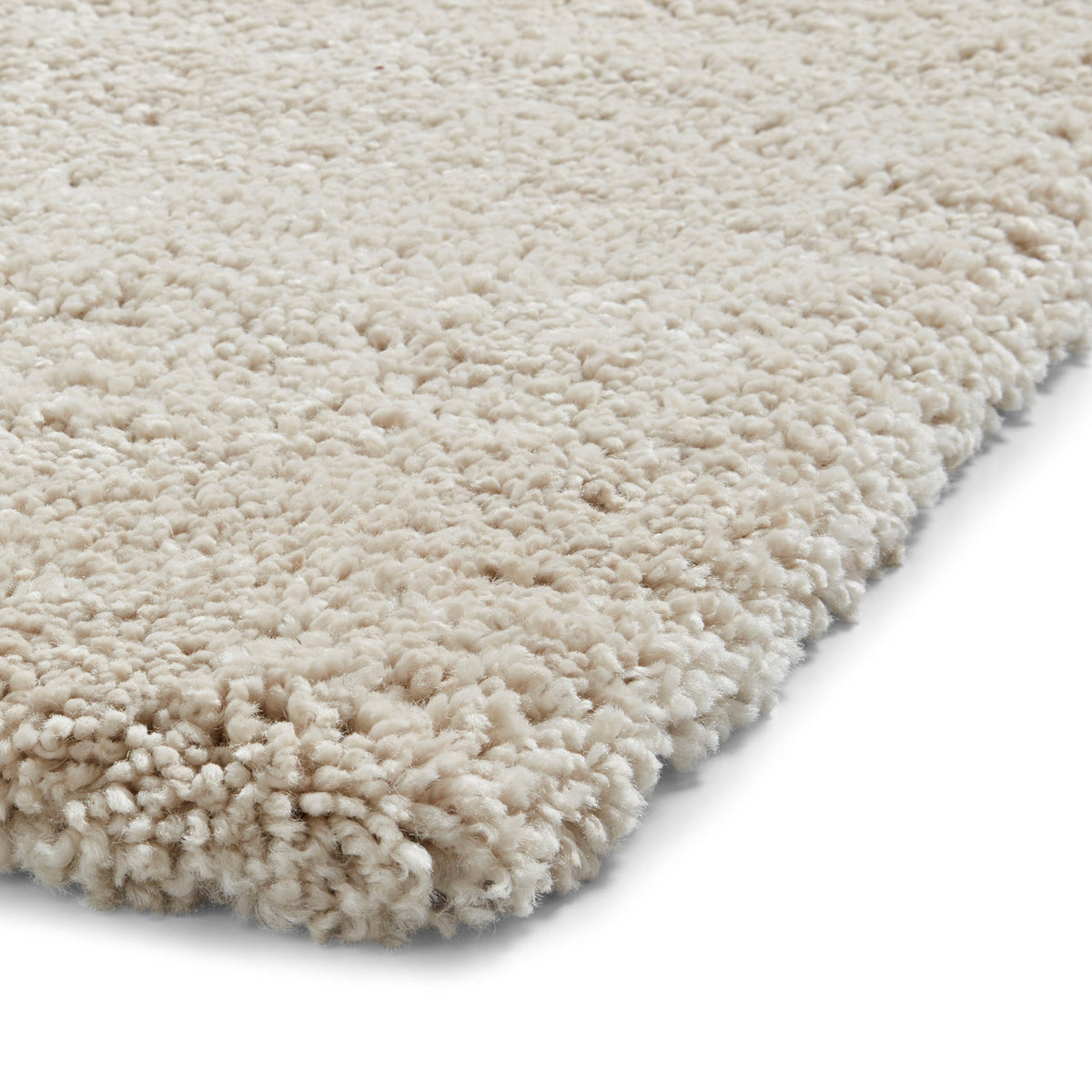 Roswell Stain Resistant Shaggy Rug