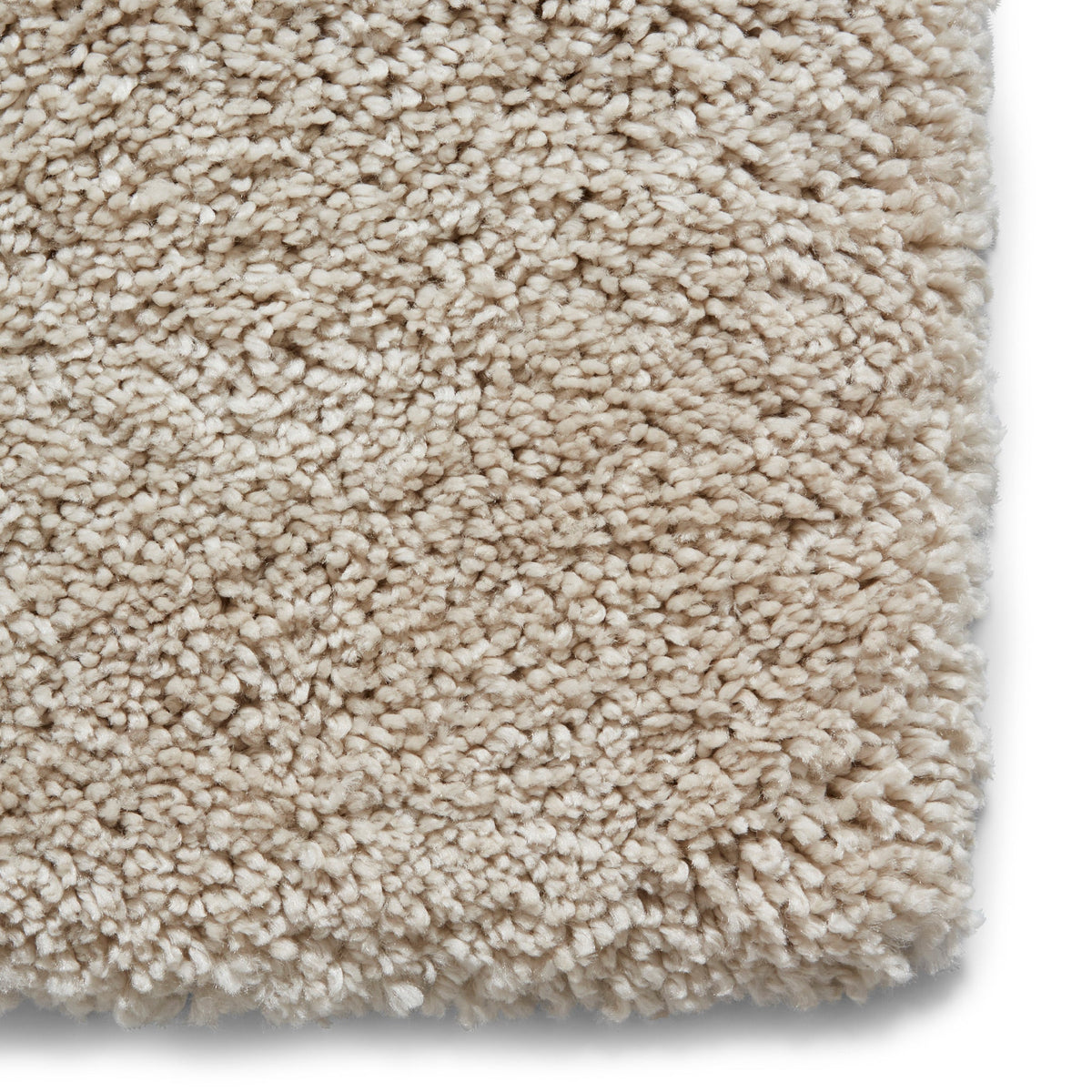 Roswell Stain Resistant Shaggy Rug
