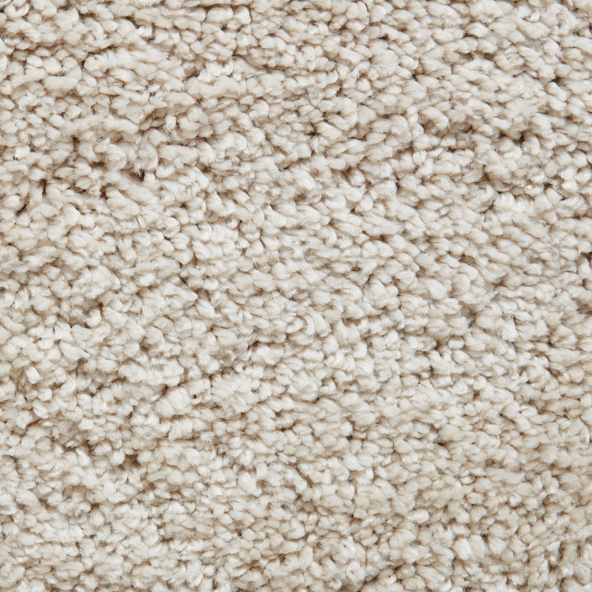 Roswell Stain Resistant Shaggy Rug
