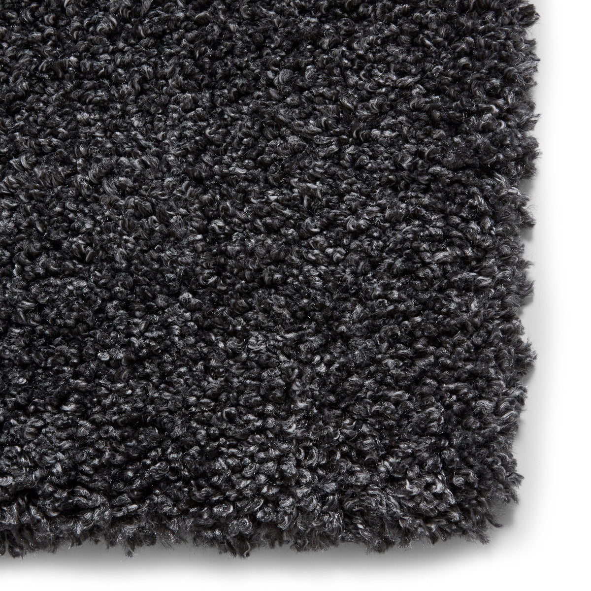 Roswell Stain Resistant Shaggy Rug