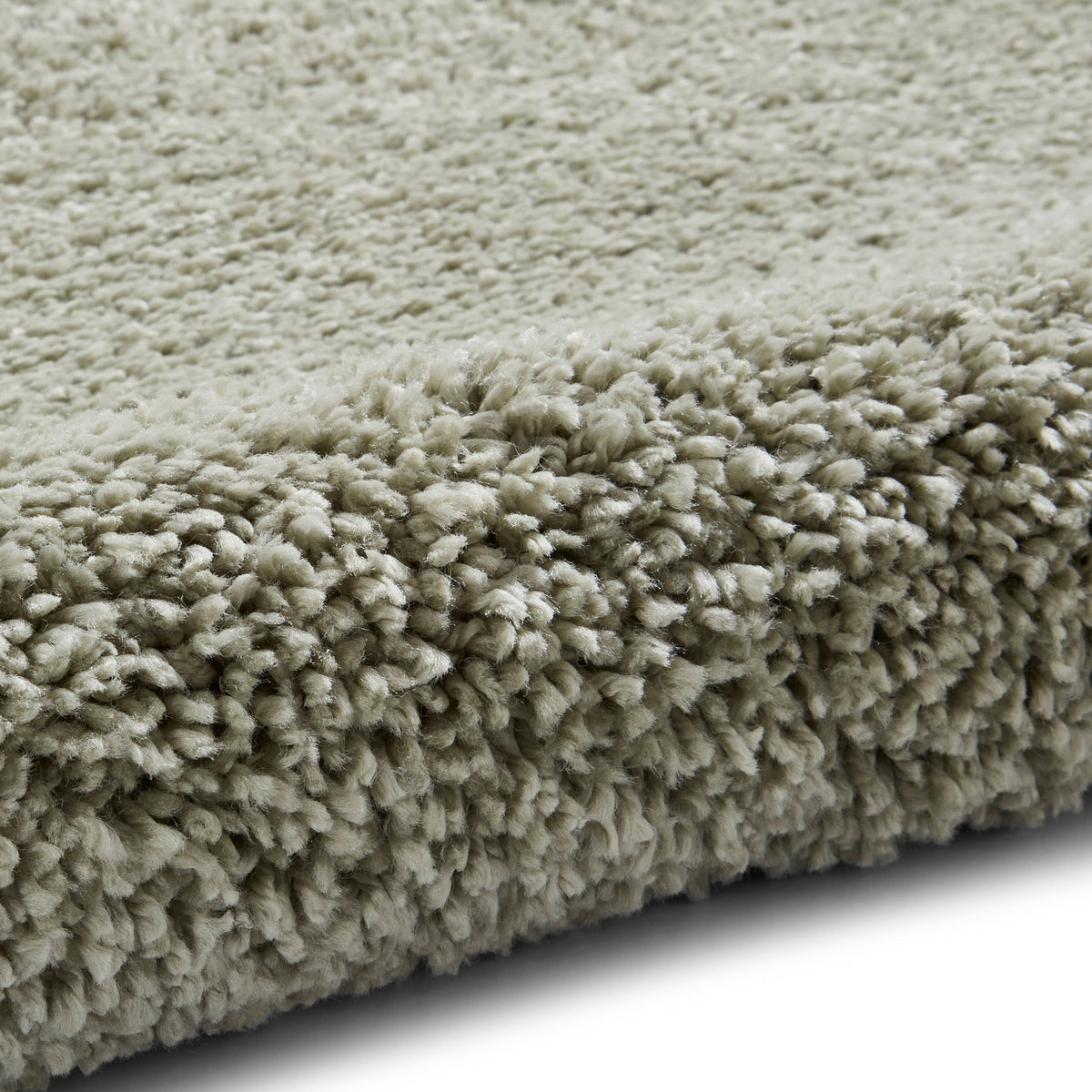 Roswell Stain Resistant Shaggy Rug