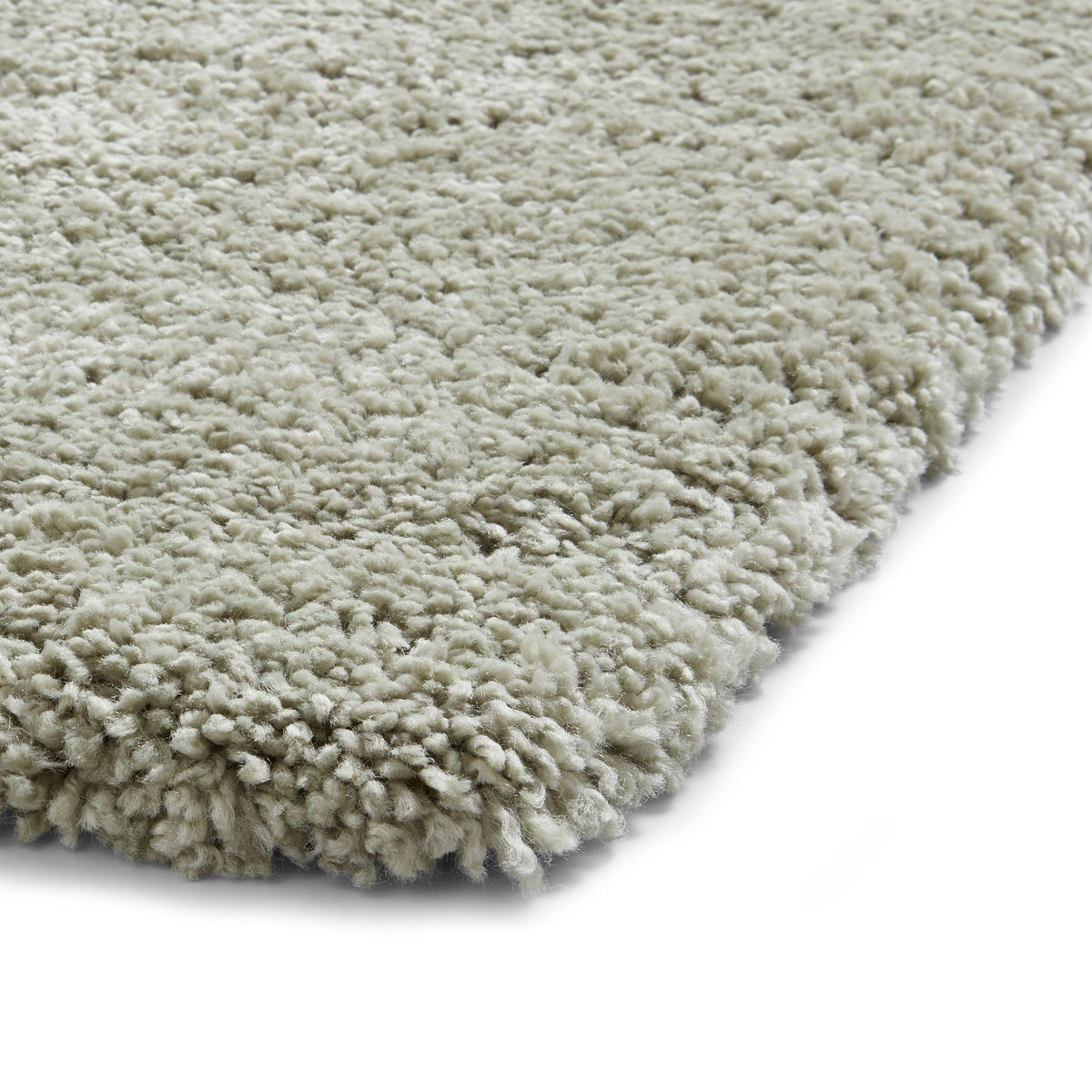 Roswell Stain Resistant Shaggy Rug