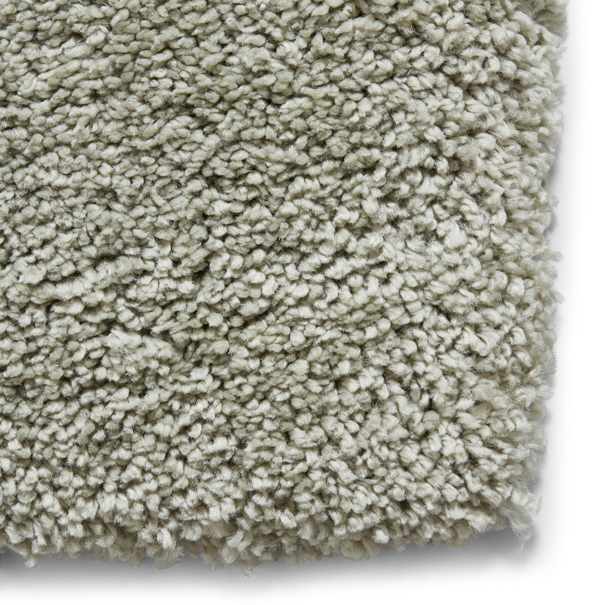 Roswell Stain Resistant Shaggy Rug