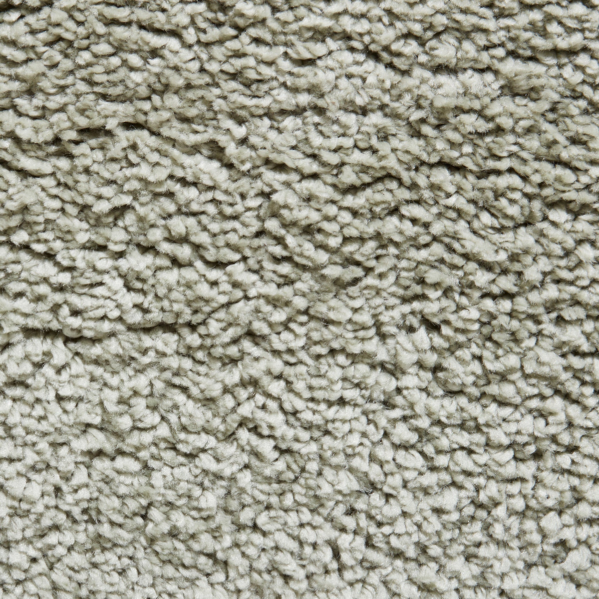 Roswell Stain Resistant Shaggy Rug