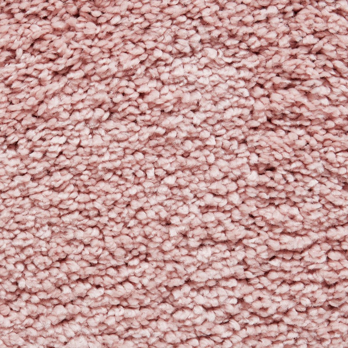 Roswell Stain Resistant Shaggy Rug