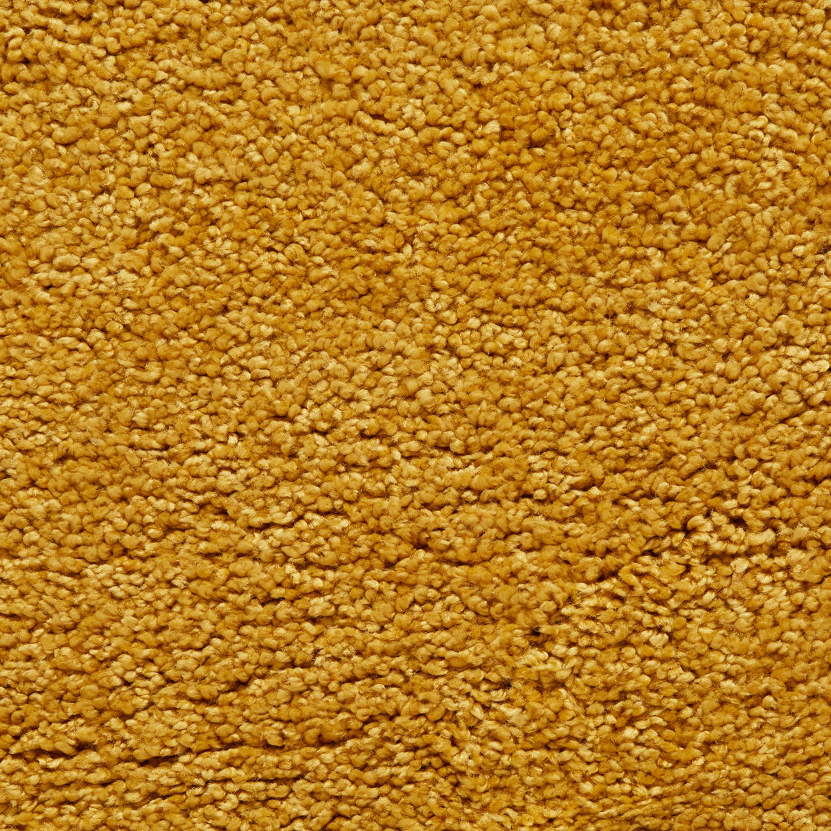 Roswell Stain Resistant Shaggy Rug
